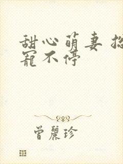 甜心萌妻 总裁宠不停