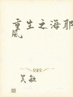 重生之海耶斯旋风