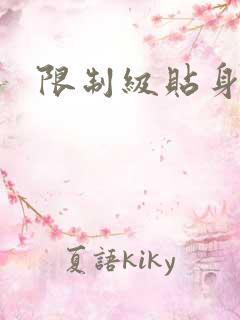 限制级贴身高手