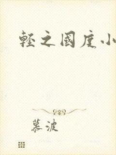 轻之国度小说