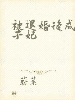 被退婚后成了太子妃