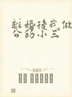 离婚后我做了老公的小三