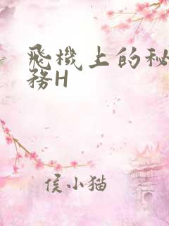 飞机上的秘密服务H