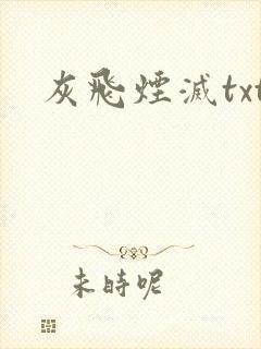灰飞烟灭txt