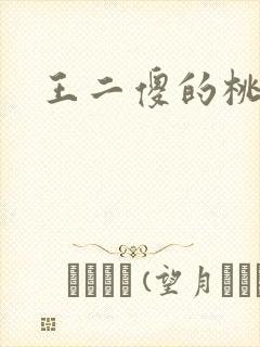 王二傻的桃花运