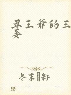 丑王爷的三妻四妾