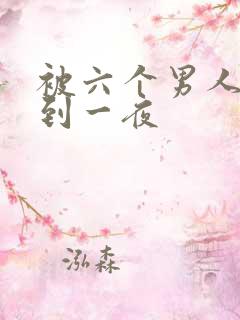 被六个男人躁J到一夜