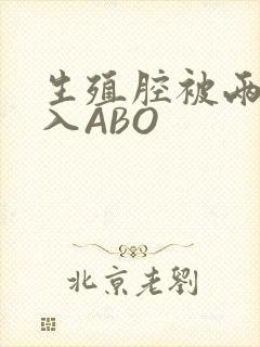 生殖腔被两根进入ABO