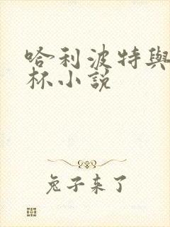 哈利波特与火焰杯小说