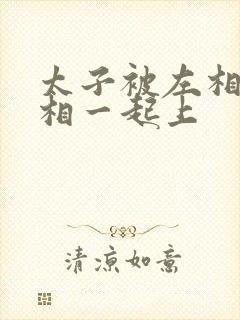 太子被左相和右相一起上