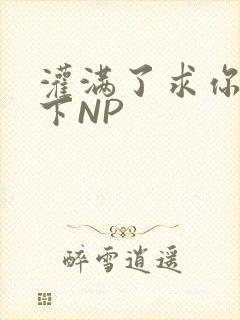 灌满了求你们停下NP