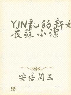 YIN乱的新婚夜苏小洁