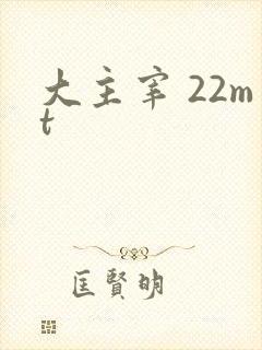 大主宰 22mt