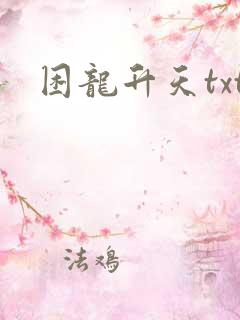 困龙升天txt