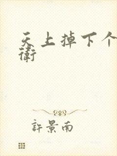 天上掉下个影卫卫