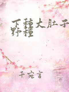 下种大肚子怀孕野种
