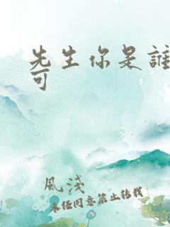 先生你是谁林亦可