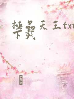 极品天王txt下载