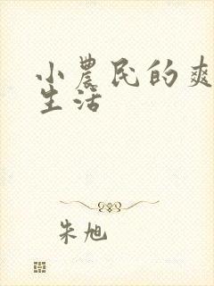 小农民的爽歪歪生活