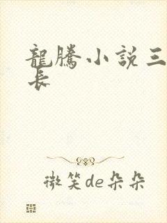 龙腾小说三宝局长