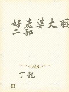 好老婆大联盟第二部