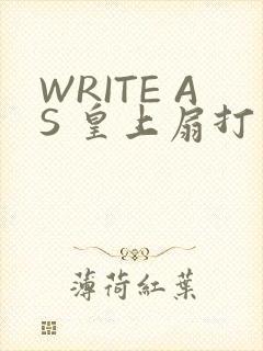 WRITE AS 皇上扇打
