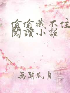 偷偷藏不住免费阅读小说