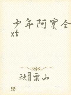 少年阿宾全集txt