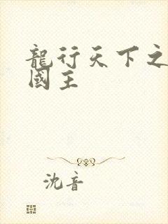 龙行天下之真假国主