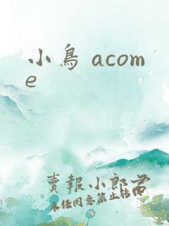 小鸟 acome