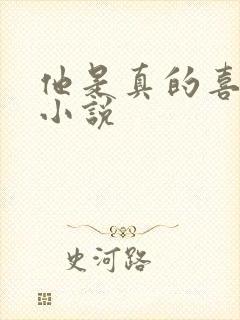 他是真的喜欢你小说