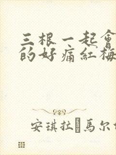 三根一起会坏掉的好痛红梅