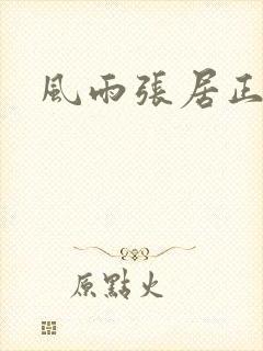 风雨张居正下载