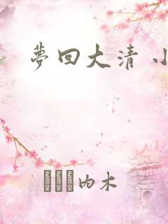 梦回大清 小说