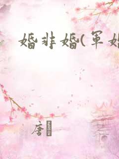 婚非婚(军婚)