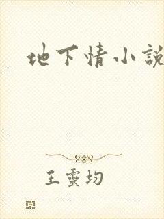 地下情小说