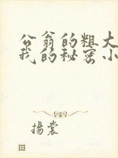 公翁的粗大放进我的秘密小说