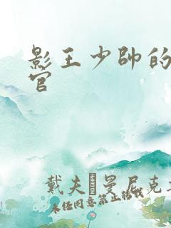 影王少帅的女长官