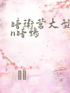 暗卫营大型hpn暗鸦