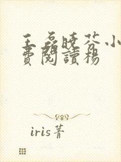 王磊晓芬小说免费阅读杨