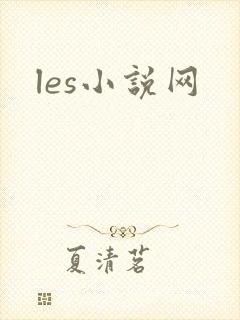 les小说网