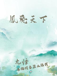 凤飞天下