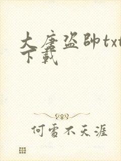 大唐盗帅txt下载