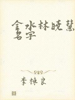 金水林晓慧小说名字
