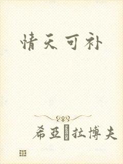 情天可补
