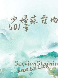 少妇苏霞肉欲第501章