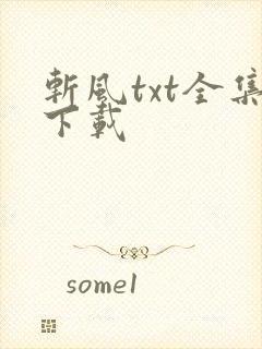 斩风txt全集下载