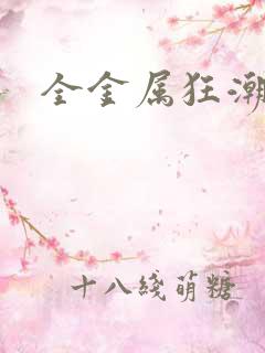 全金属狂潮小说