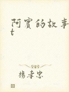 阿宾的故事txt