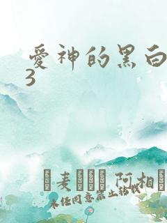 爱神的黑白羽翼3